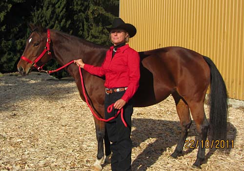 stutenschau 2011